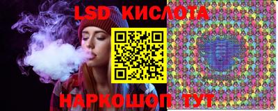 стаф Шелехов