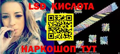 стаф Шелехов