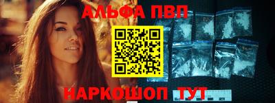 стаф Шелехов