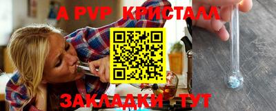 стаф Шелехов